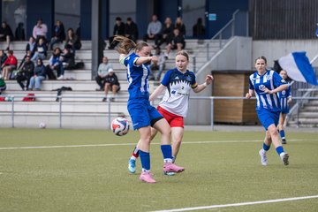 Bild 162 - wBJ Hamburger SV - FC Suederelbe : Ergebnis: 9:0